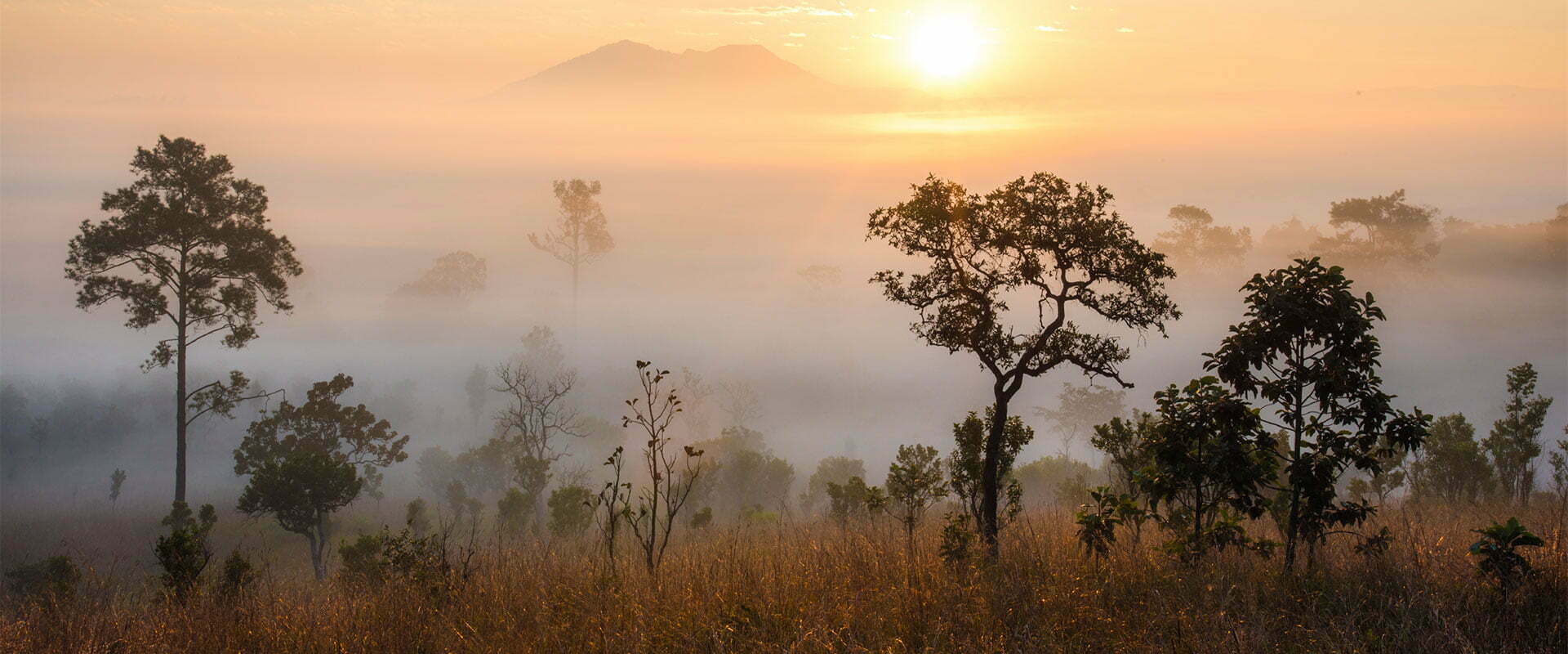 thailande-pratique Guide voyage Thailande