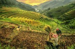 Sapa - Une des destinations idéales pour avoir un voyage en famille Vietnam