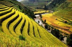 Sapa - Une des destinations idéales pour avoir un voyage en famille Vietnam
