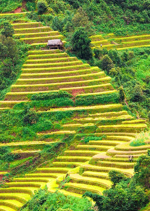 Tour d'horizon du Vietnam