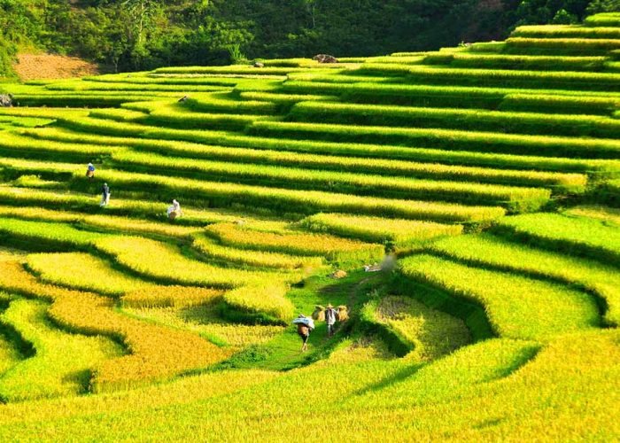 La réserve naturelle Puluong