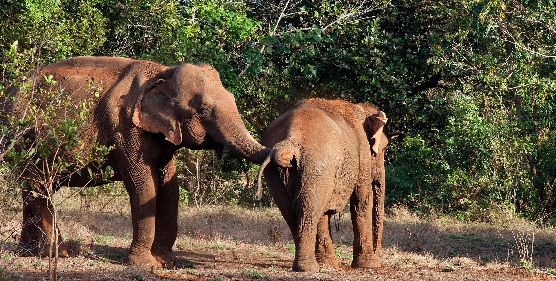 Mondulkiri Mondulkiri